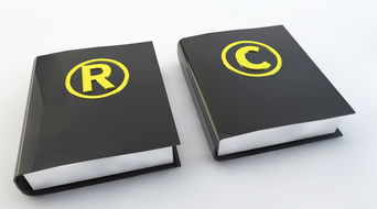 冒充專利行為的法律認(rèn)定與咨詢指南